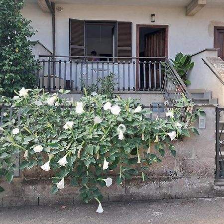 바뇨레조 A Casa Ida 아파트 외부 사진