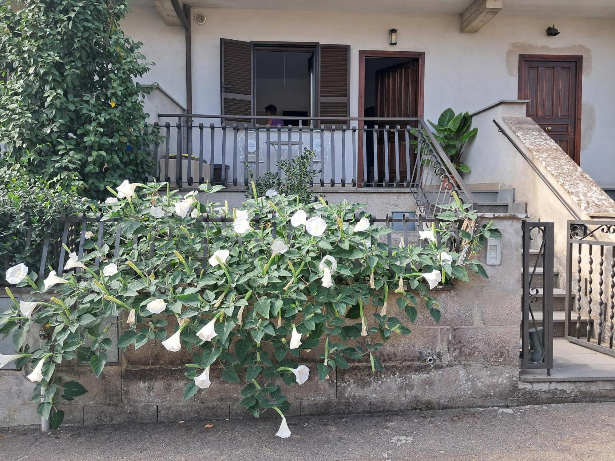 바뇨레조 A Casa Ida 아파트 외부 사진